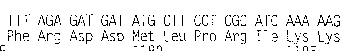 Figure imgf000040_0001