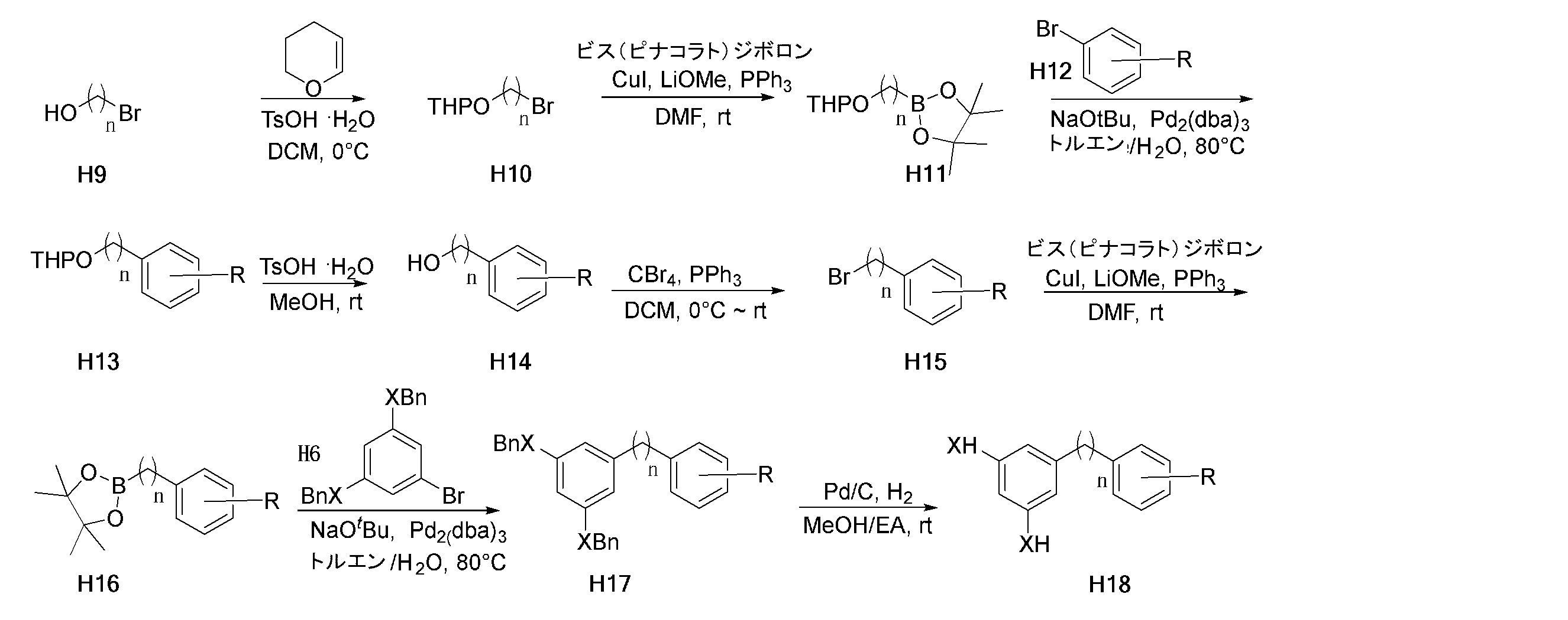 Figure 2024518569000010