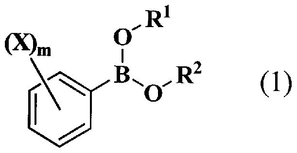 Figure imgf000022_0001
