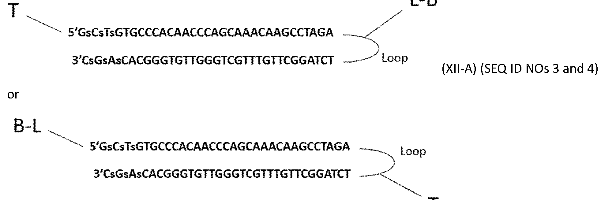 Figure imgf000021_0002