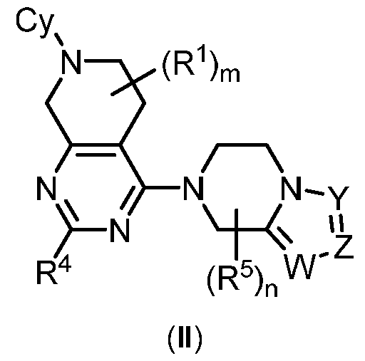 Figure imgf000096_0001
