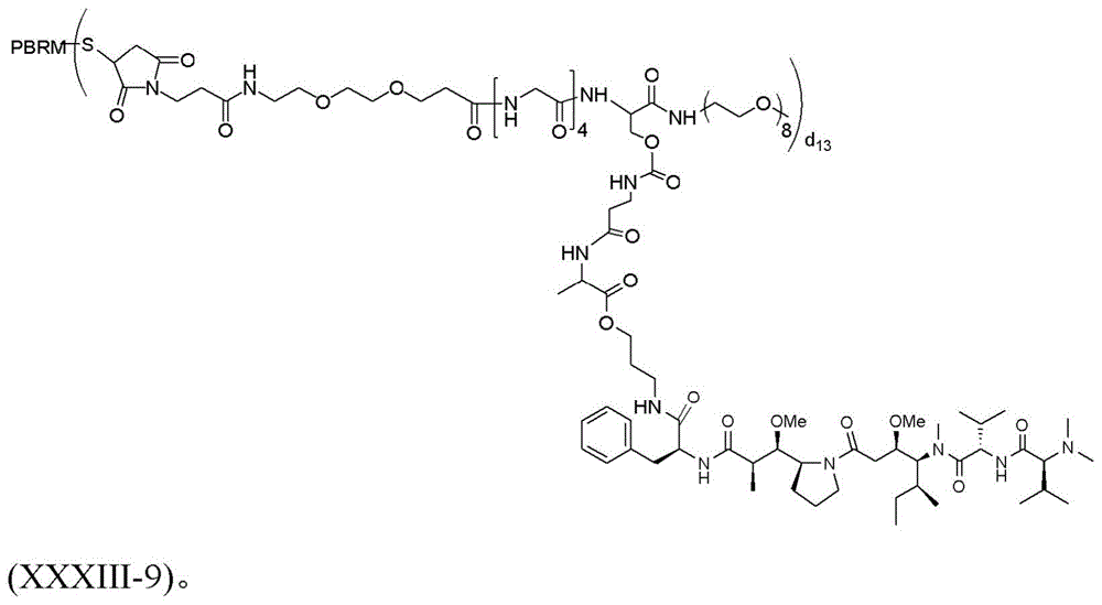 Figure BDA0003135424430002131