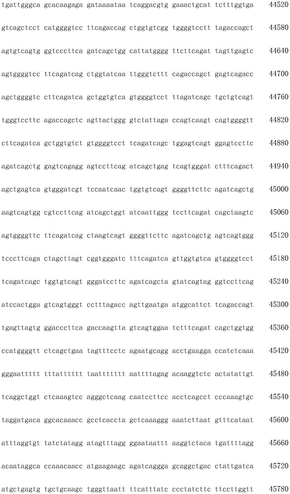 Figure IDA0003936212790001351