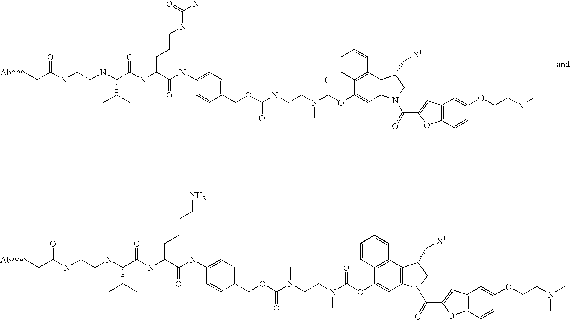 Figure US20080279868A1-20081113-C00070