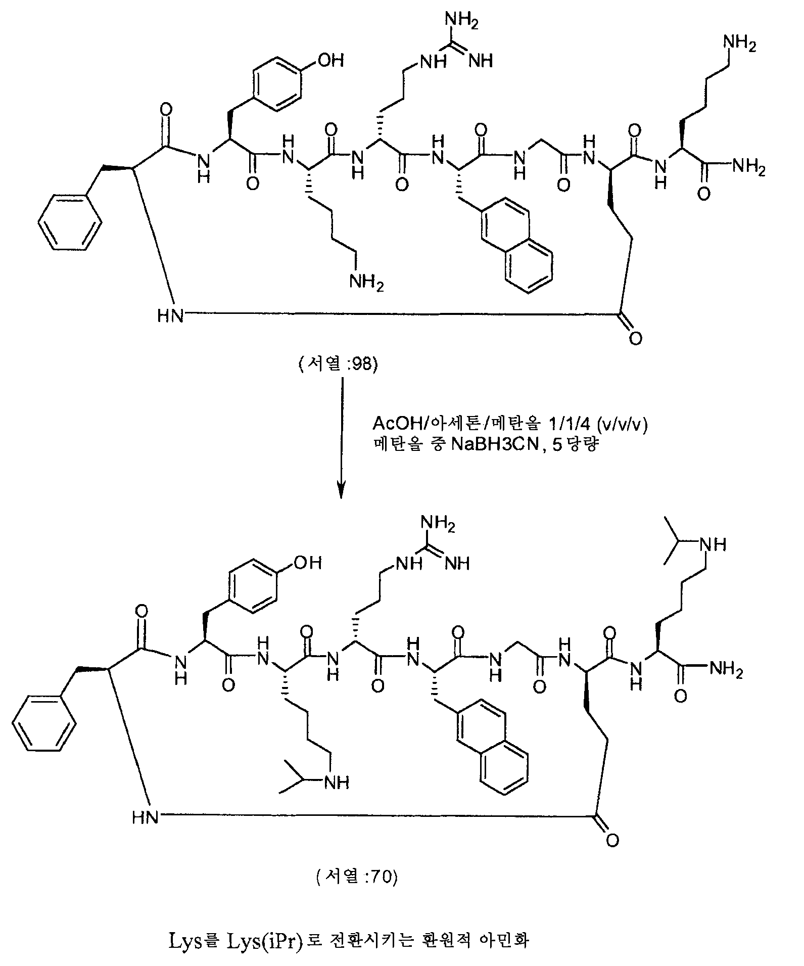 Figure 112009073236969-pct00014