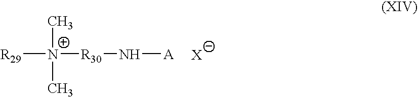 Figure US20070251026A1-20071101-C00015
