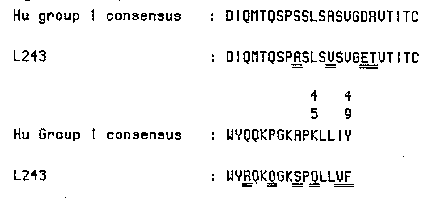 Figure imgf000048_0001
