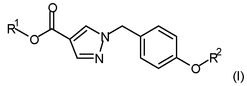 Figure imgf000005_0001