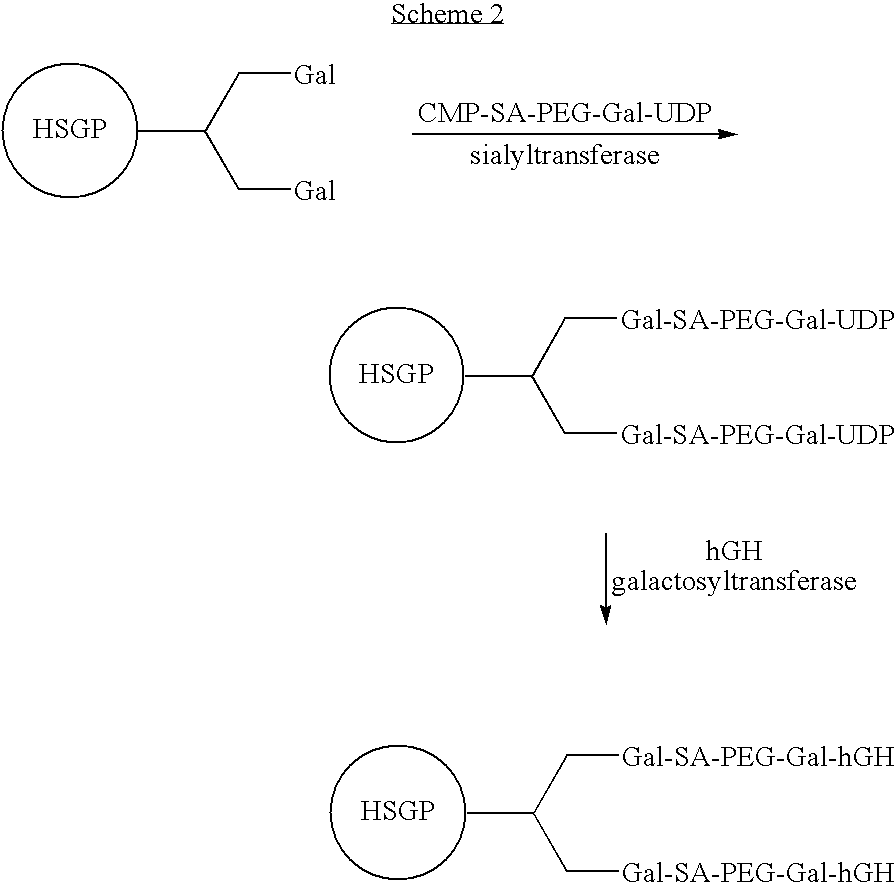 Figure US20070154992A1-20070705-C00024