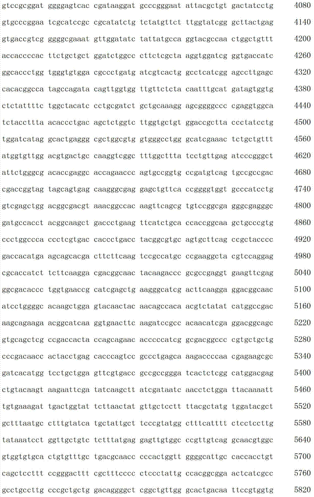 Figure IDA00003076741800541