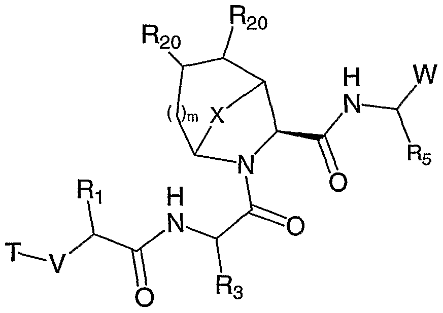 Figure imgf000021_0002
