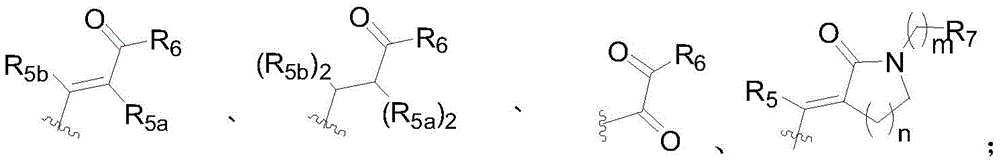 Figure BDA0002440957940000021