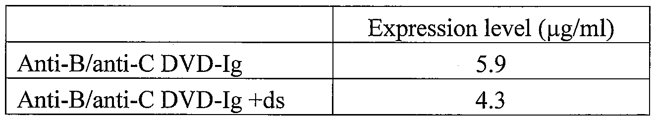 Figure imgf000032_0001
