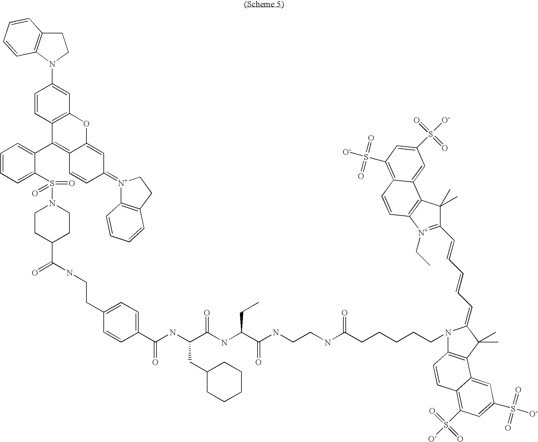 Figure US20100189658A1-20100729-C00025