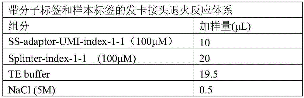 Figure BDA0002748241690000092
