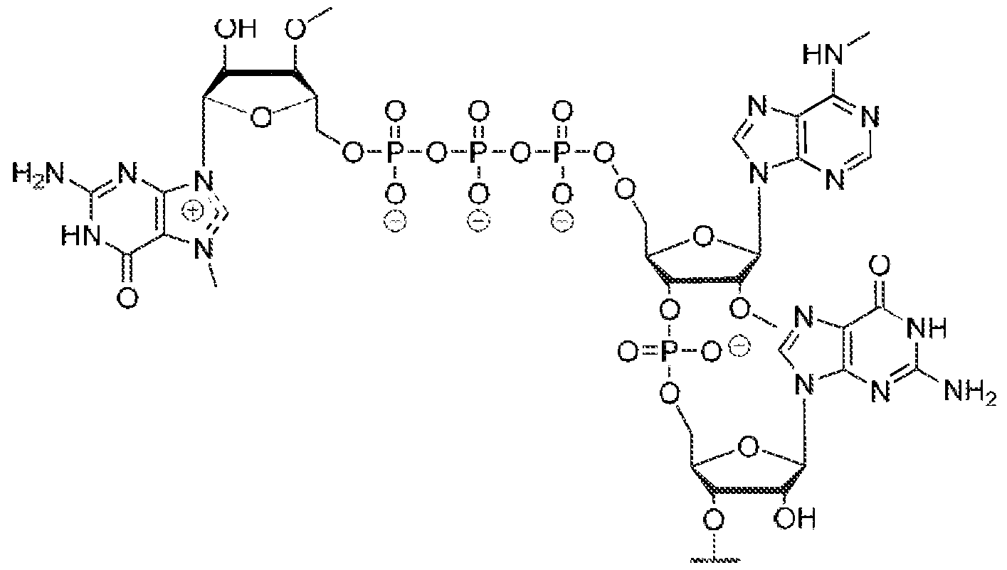 Figure imgf000067_0001
