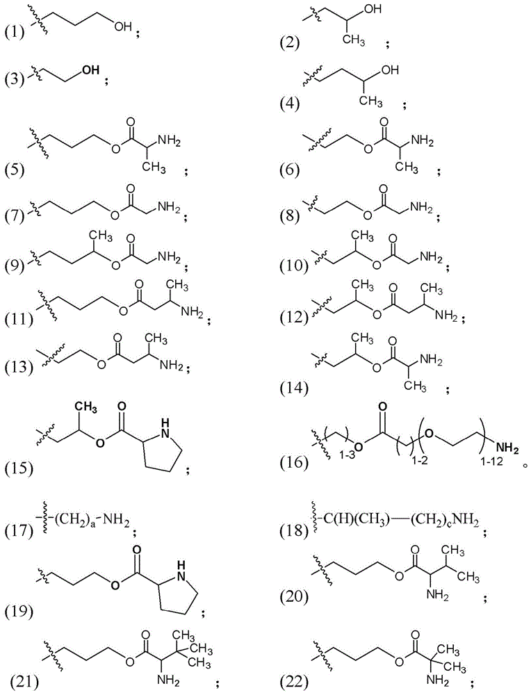 Figure BDA0003135424430001192
