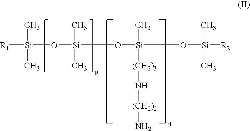 Figure US20070154441A1-20070705-C00055