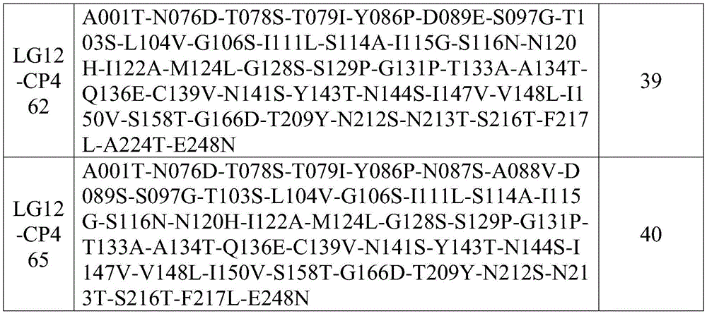 Figure BDA0001404509970001301