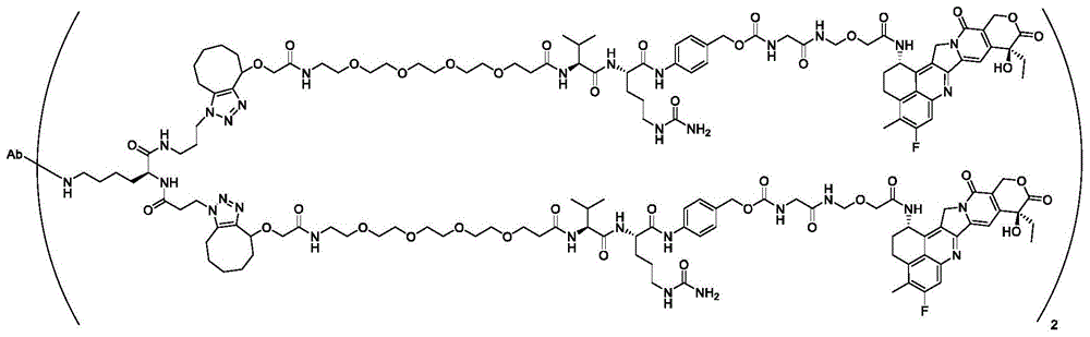 Figure BDA0003817518590000972