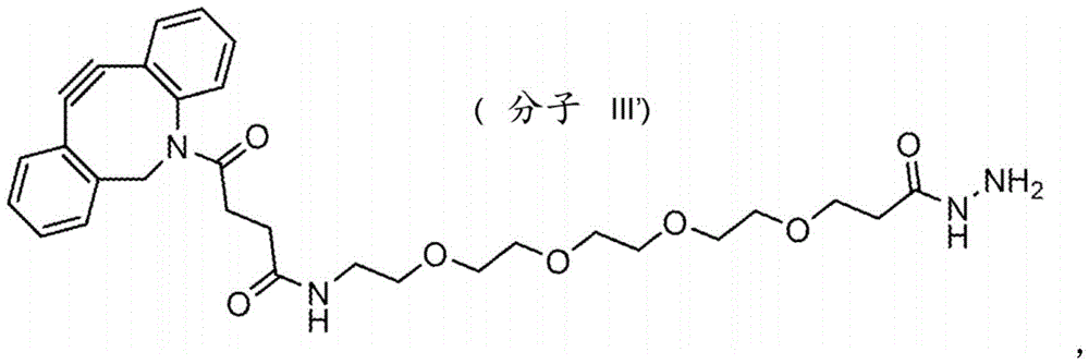 Figure FDA0004086040560000162