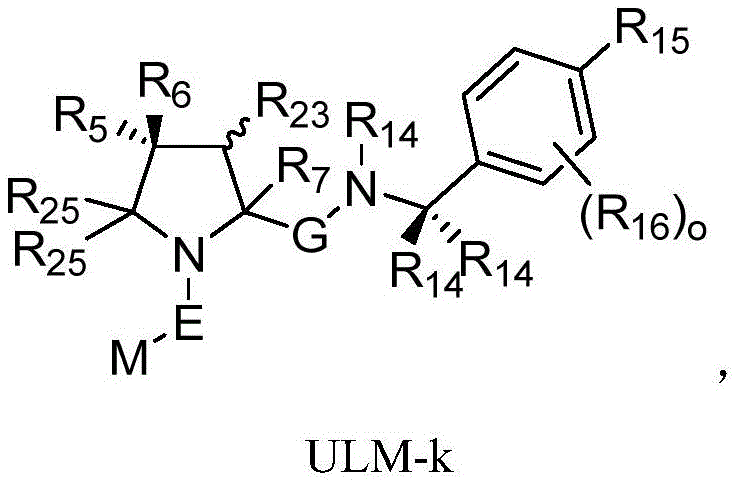 Figure BDA0002814149690001812