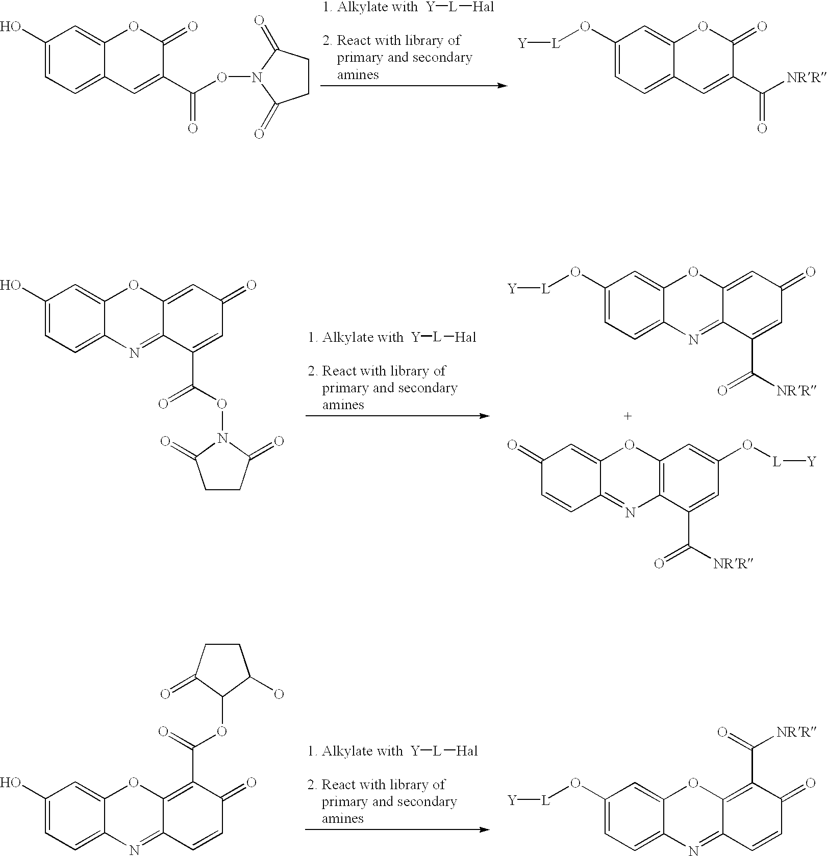 Figure US06638713-20031028-C00070