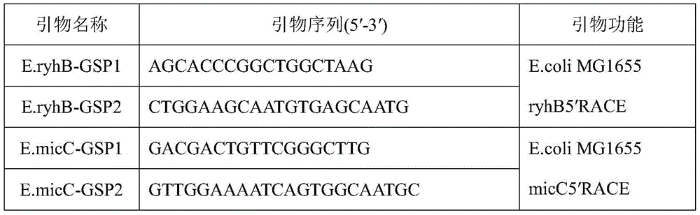 Figure BDA0001756236450000062