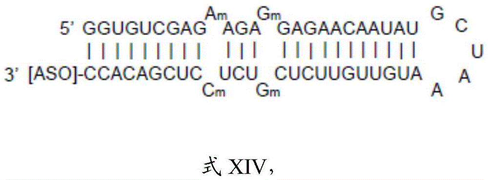 Figure BDA0003264319780000654