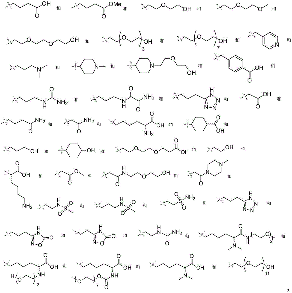 Figure GDA0002483706190002051