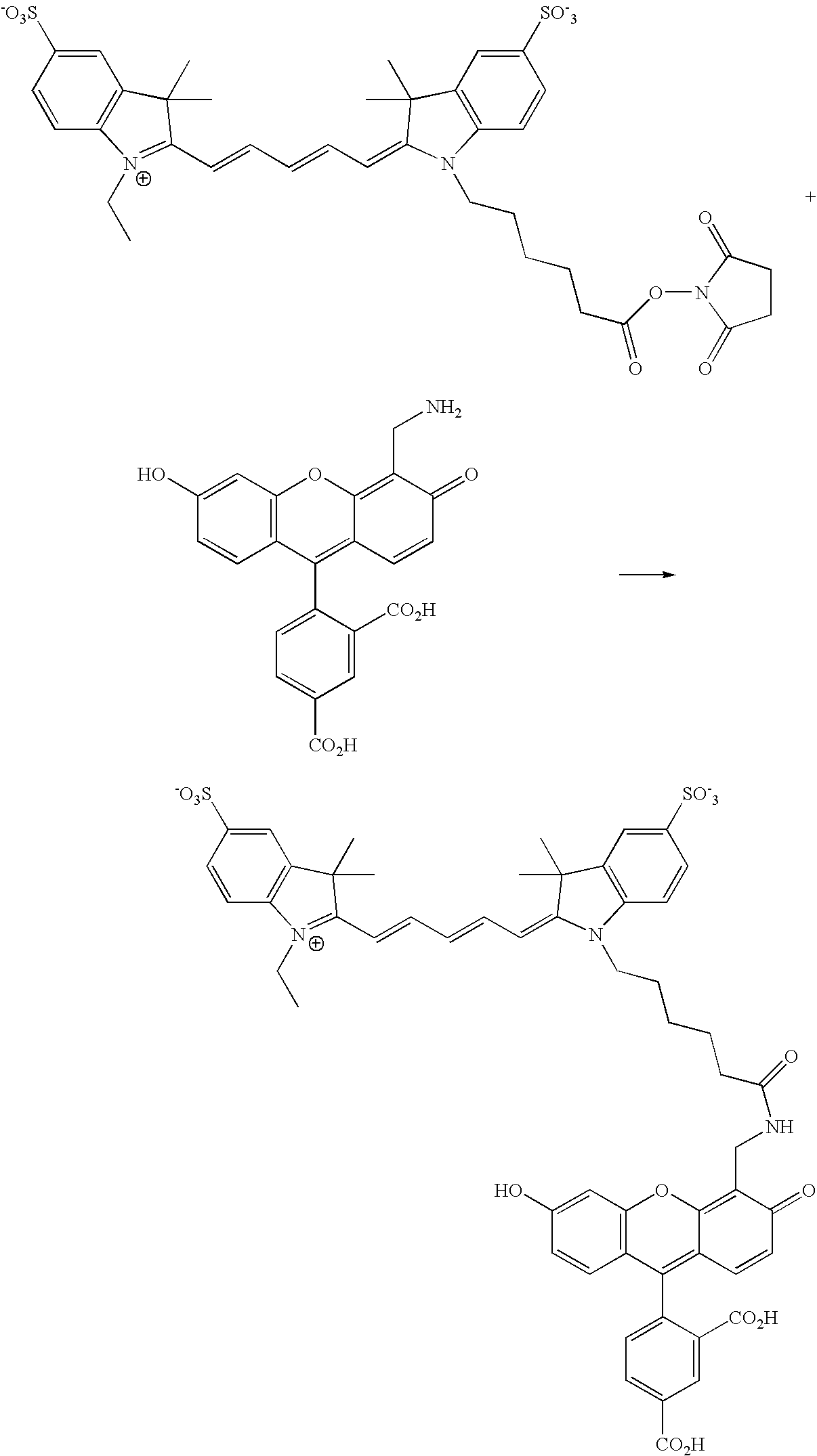 Figure US20070154927A1-20070705-C00113