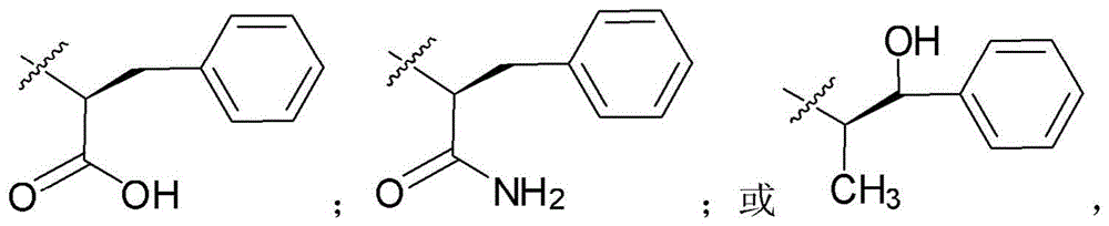 Figure BDA0003135424430001182