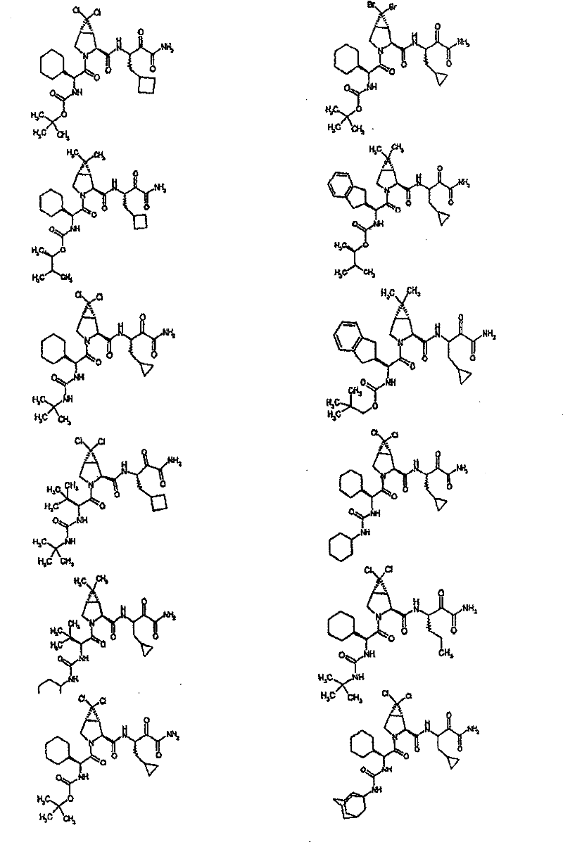 Figure BSA00000554725400641