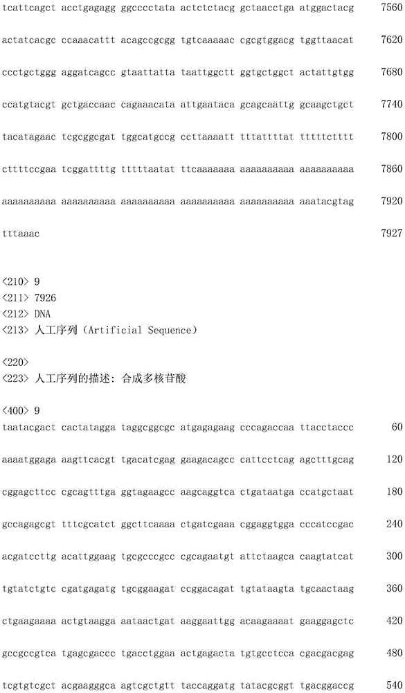 Figure IDA0002872168960000971