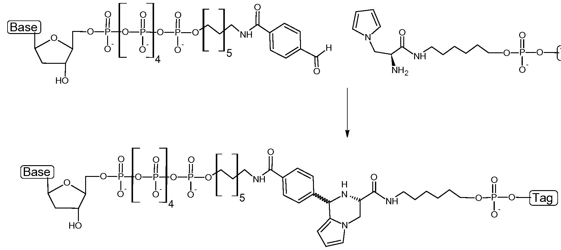 Figure imgf000032_0001