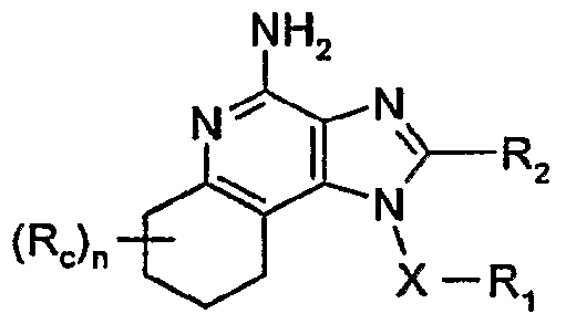 Figure imgf000011_0001