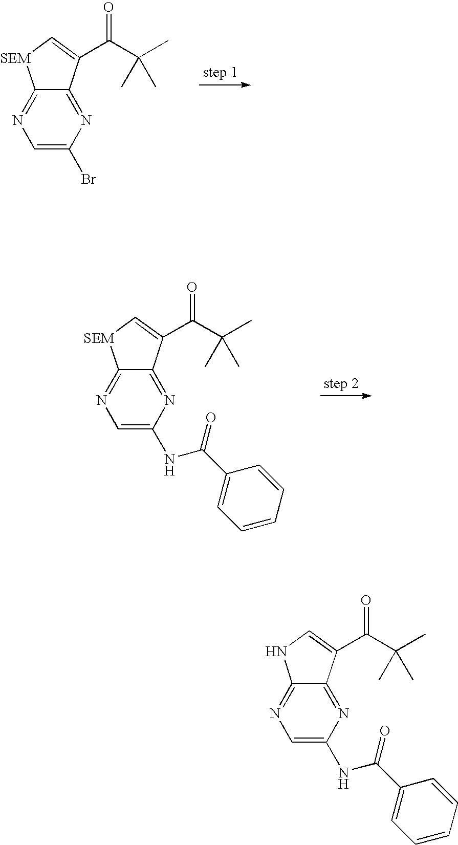 Figure US20090215788A1-20090827-C00051