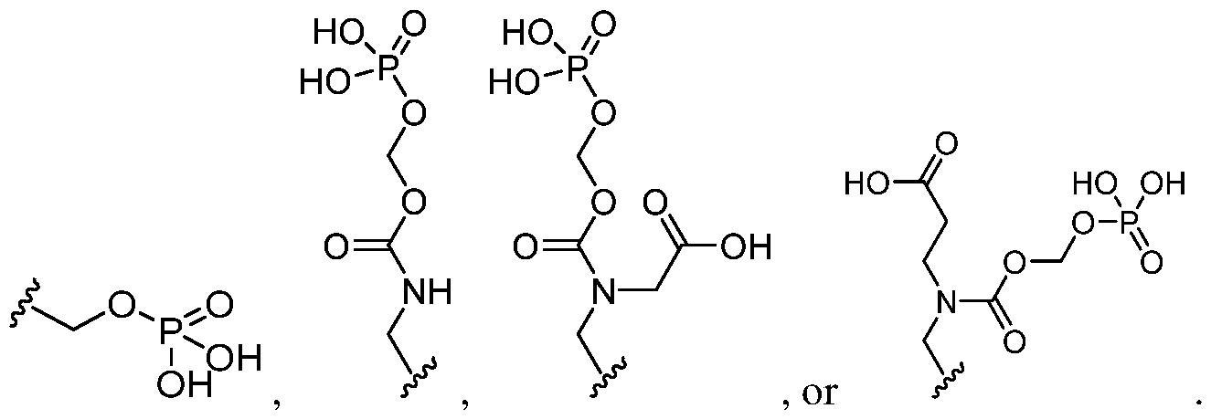 Figure imgf000025_0002