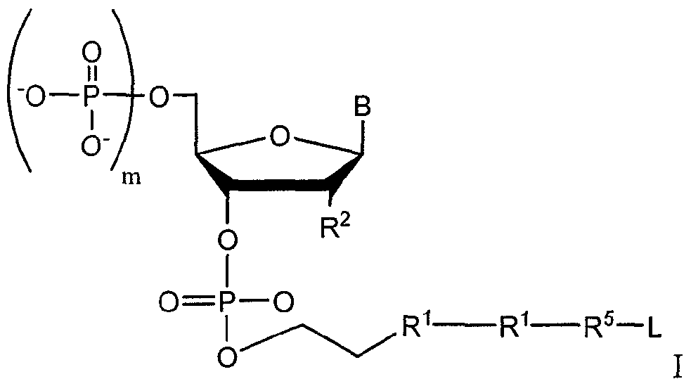 Figure imgf000022_0001