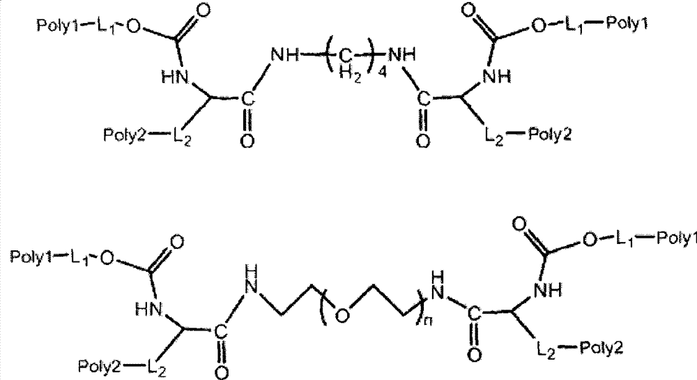 Figure G2007800134860D00391