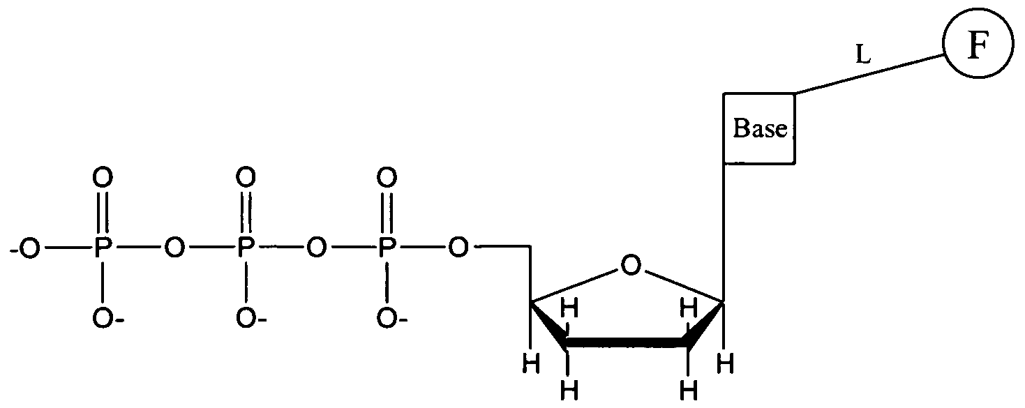 Figure imgf000046_0001