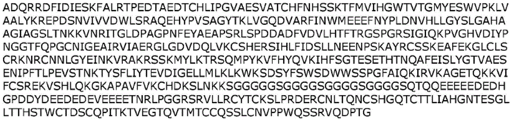 Figure BDA0003169474240000672