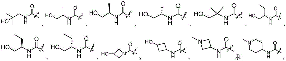 Figure BDA0002726624590000092