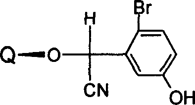 Figure A20051002382400161