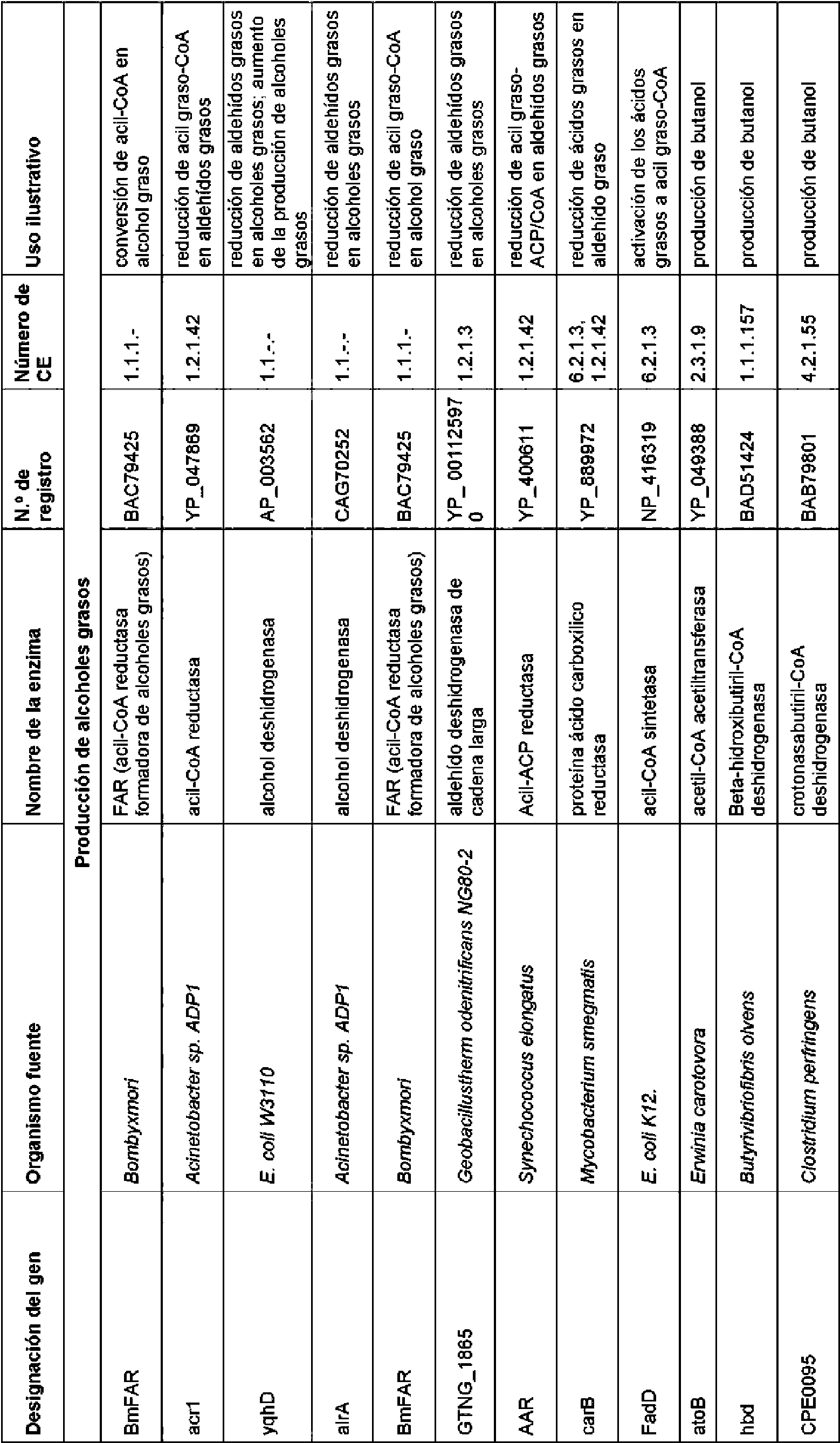 Figure imgf000024_0001