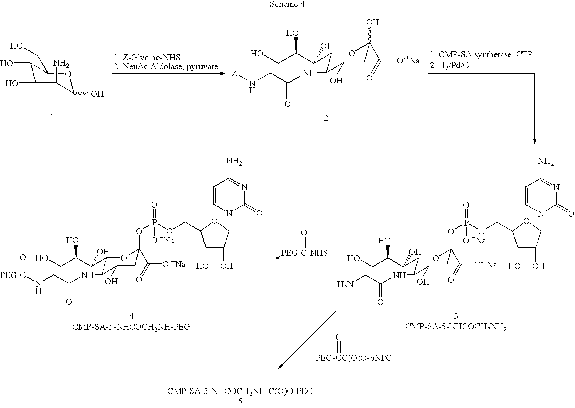 Figure US20070254836A1-20071101-C00055