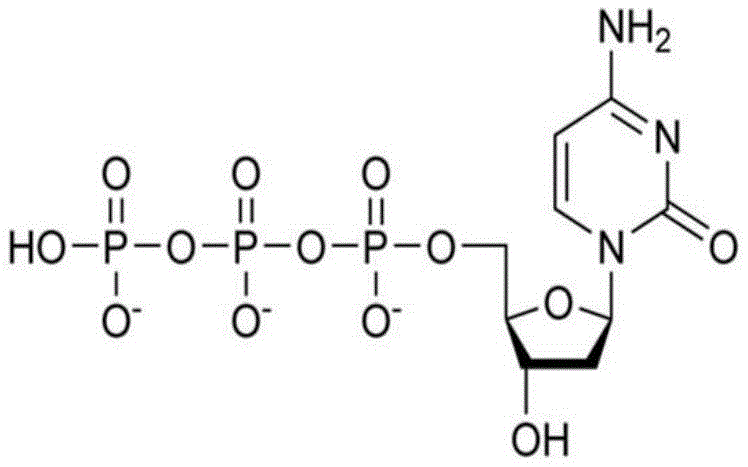 Figure BDA0002373950220000552
