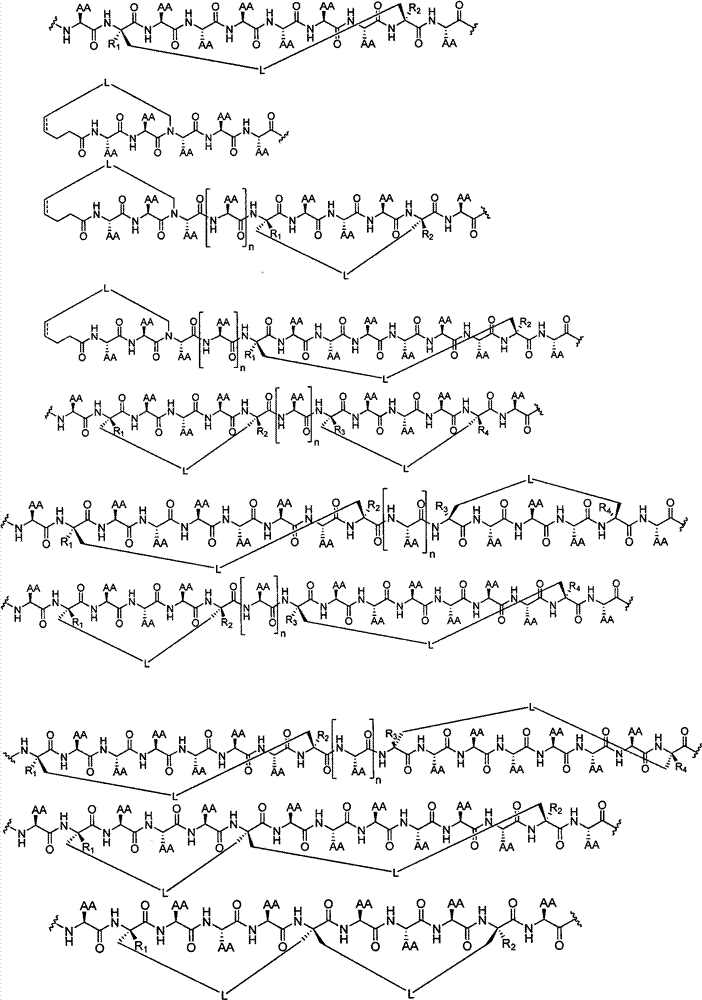 Figure BPA00001545839400201