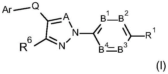 Figure FDA0003476310080000011