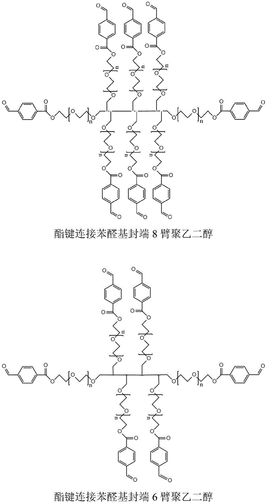 Figure BDA0002731539030000041